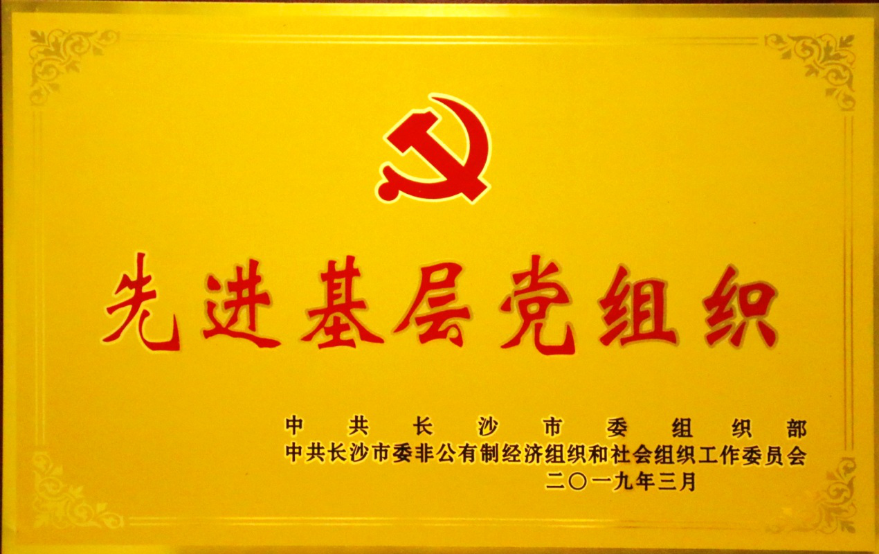 兩爭一創引領，五化建設保障，黨支部榮獲長沙市“先進基層黨組織”稱號